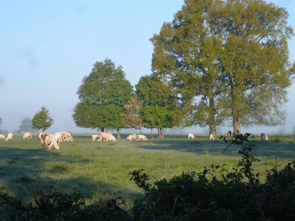 La Thibaude - Livry Bed & Breakfast Livry  Exterior photo